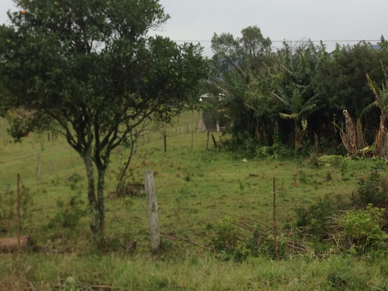 Terreno de 1.500 m² em Santo Antônio da Patrulha, RS