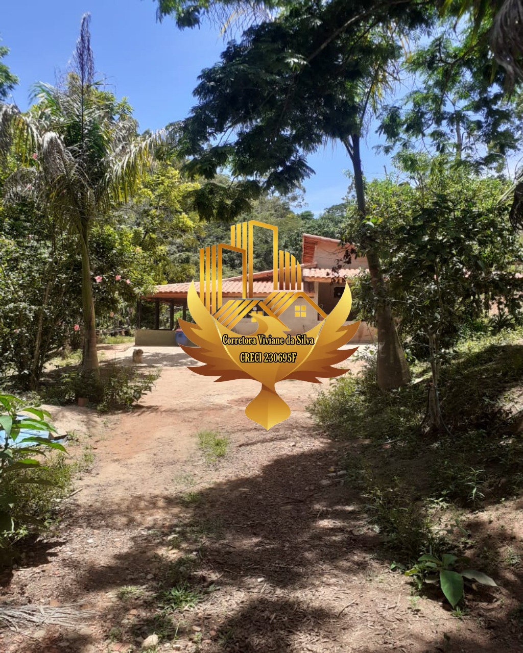 Chácara de 7.400 m² em Cunha, SP