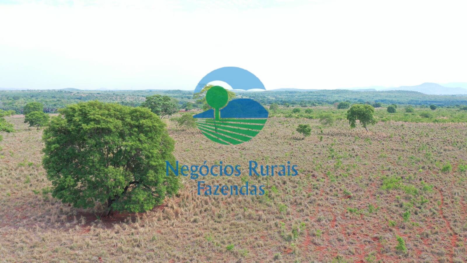 Fazenda de 290 ha em Palmeirópolis, TO