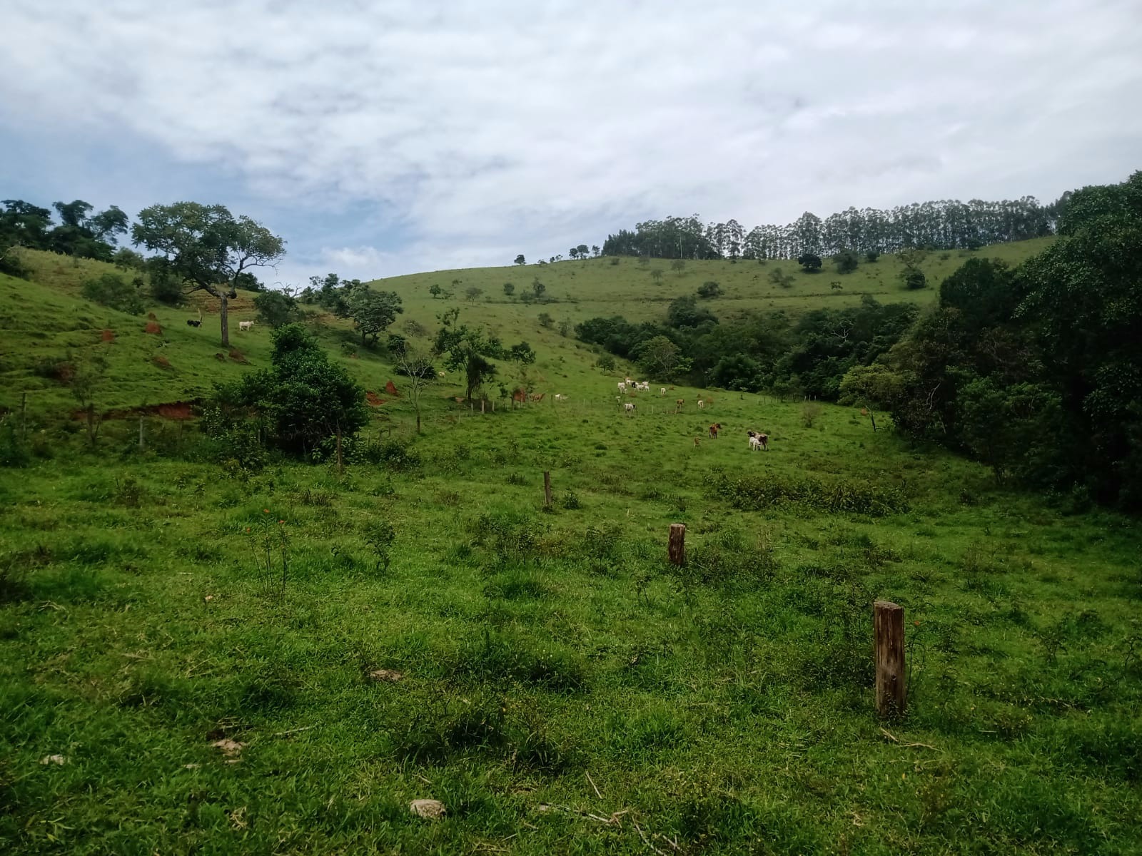 Fazenda de 486 ha em Taubaté, SP