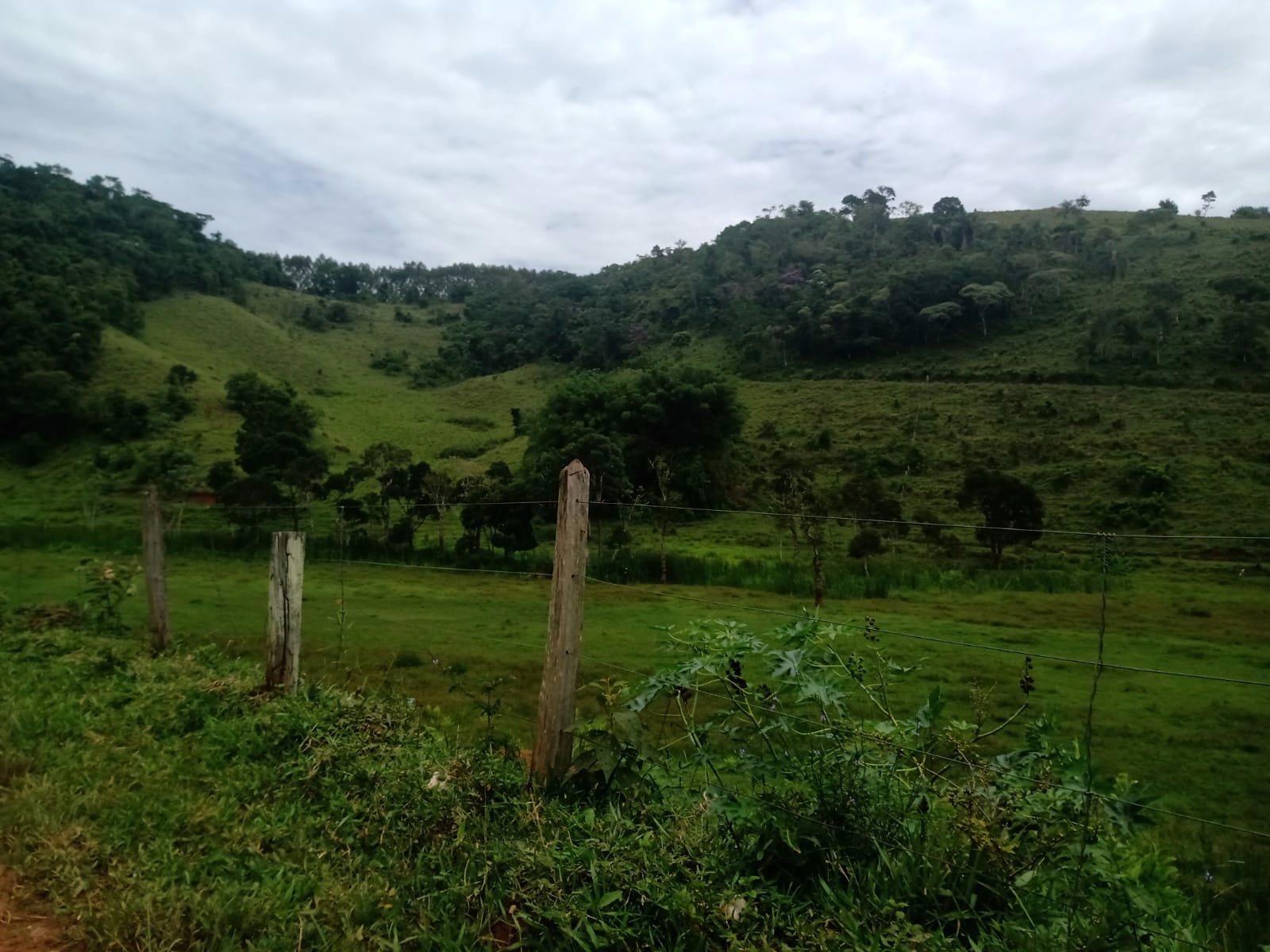 Fazenda de 486 ha em Taubaté, SP