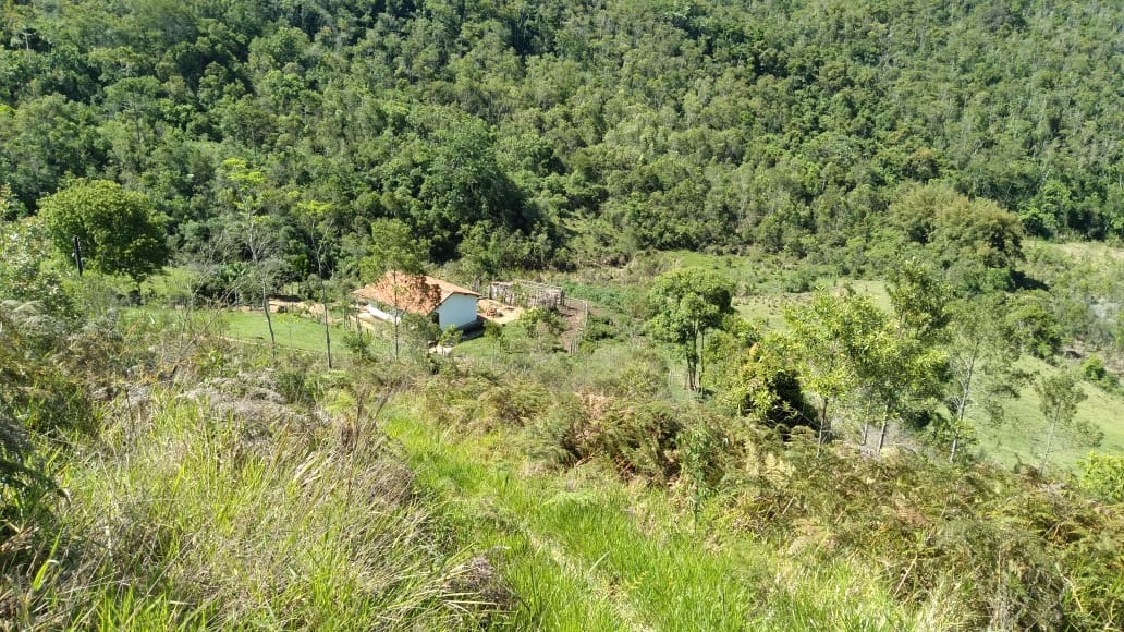 Fazenda de 123 ha em São Luiz do Paraitinga, SP