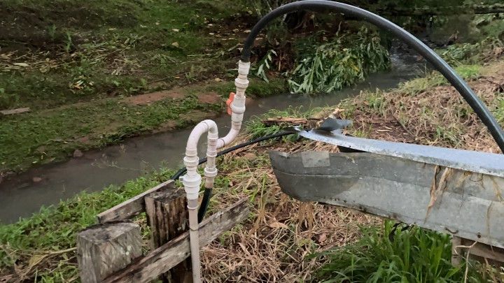 Chácara de 3 ha em Rolante, RS