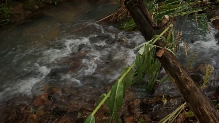 Chácara de 3 ha em Rolante, RS