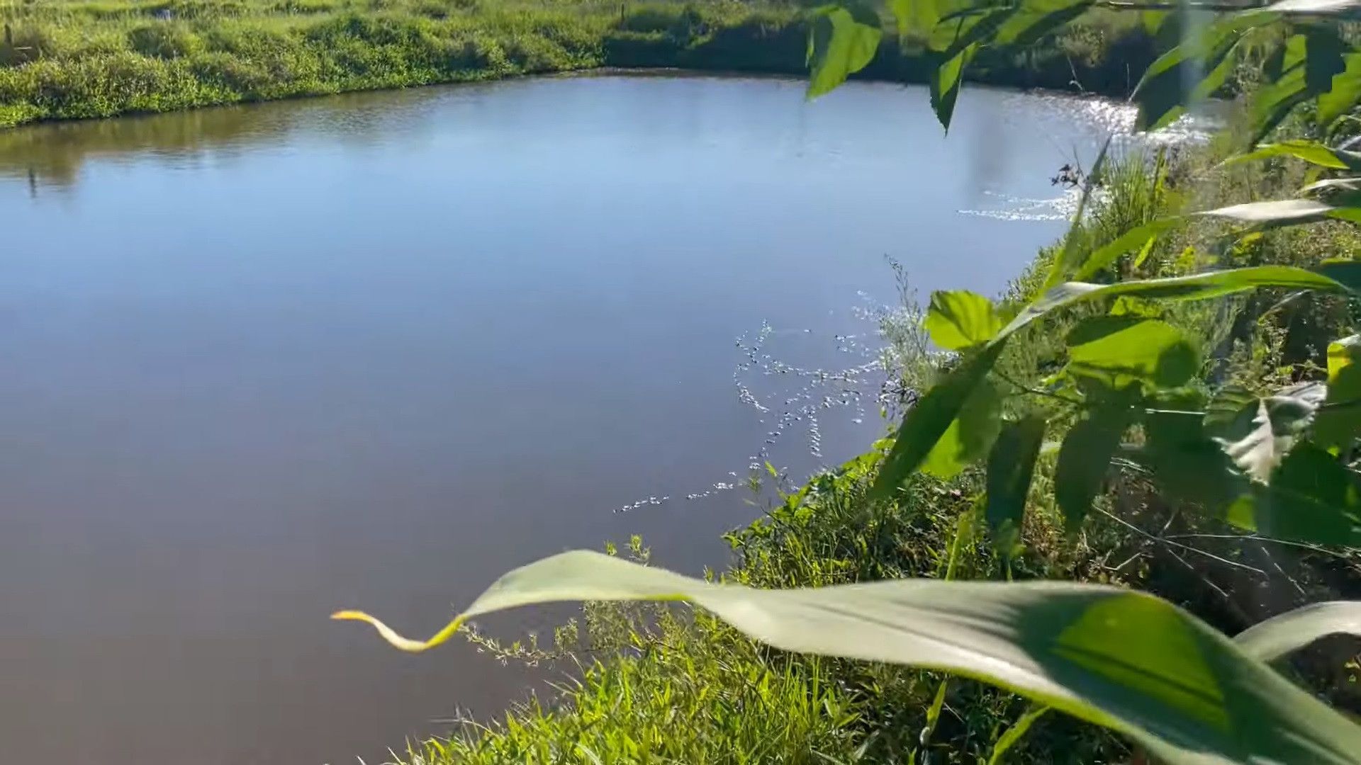 Chácara de 2.900 m² em Santo Antônio da Patrulha, RS