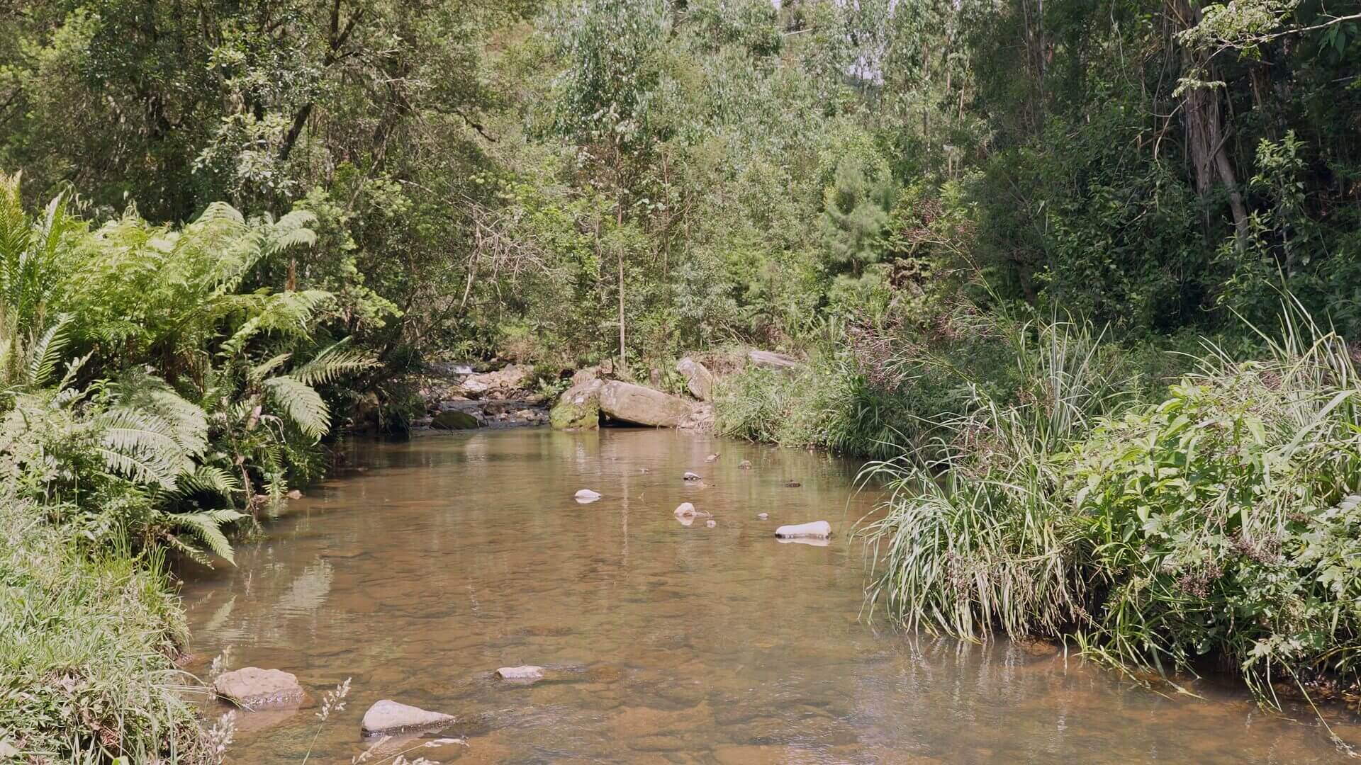 Sítio de 38 ha em Urubici, SC