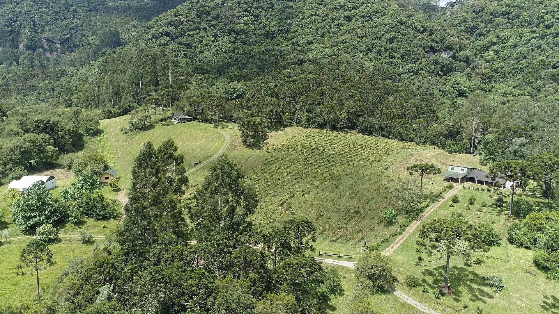 Sítio de 38 ha em Urubici, SC