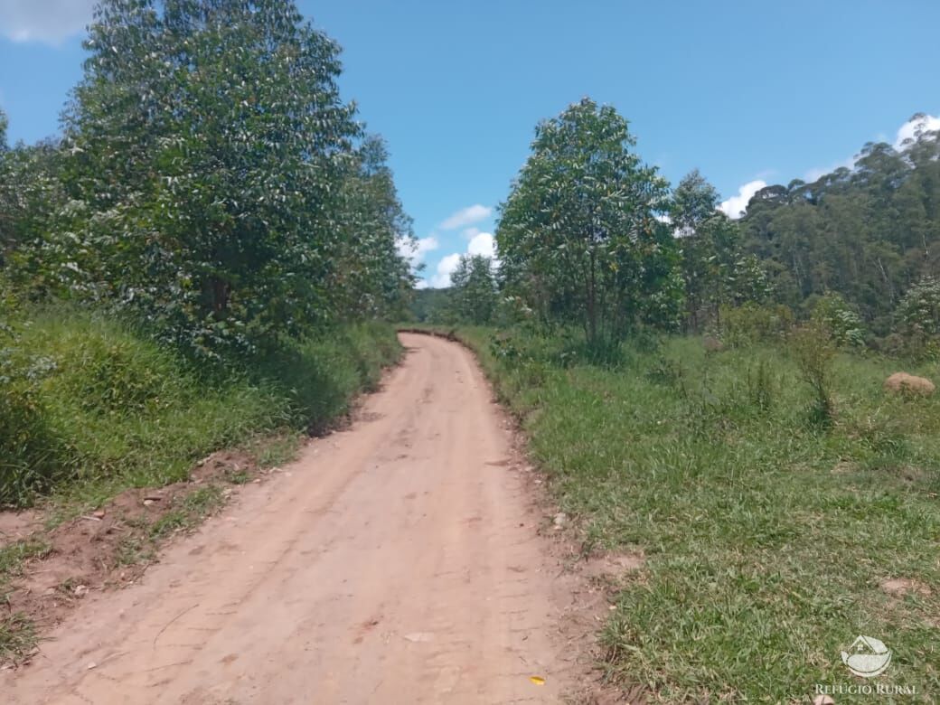 Sítio de 26 ha em Igaratá, SP