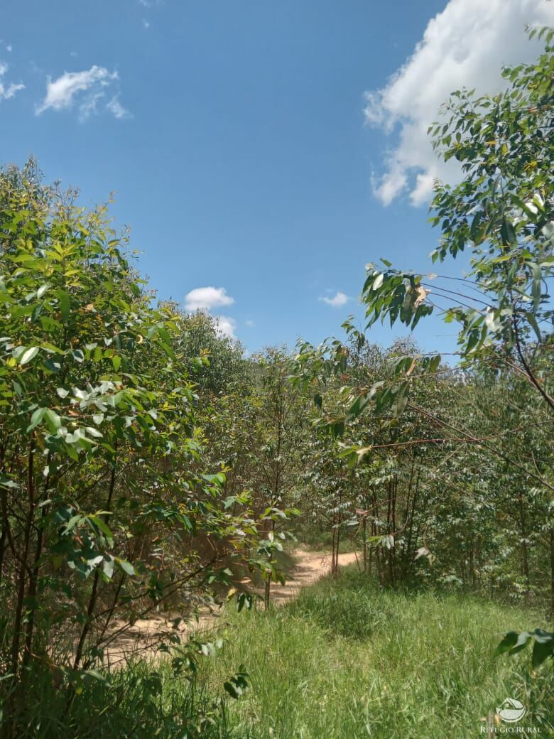 Sítio de 26 ha em Igaratá, SP