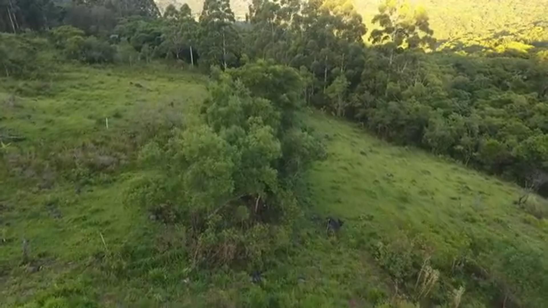 Chácara de 5 ha em Caraá, RS