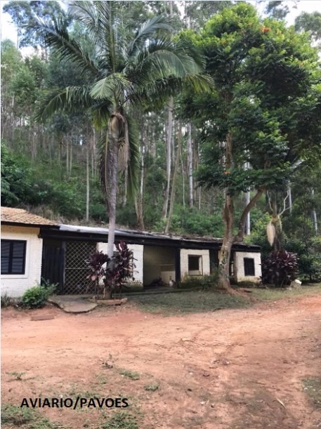 Sítio de 34 ha em Redenção da Serra, SP