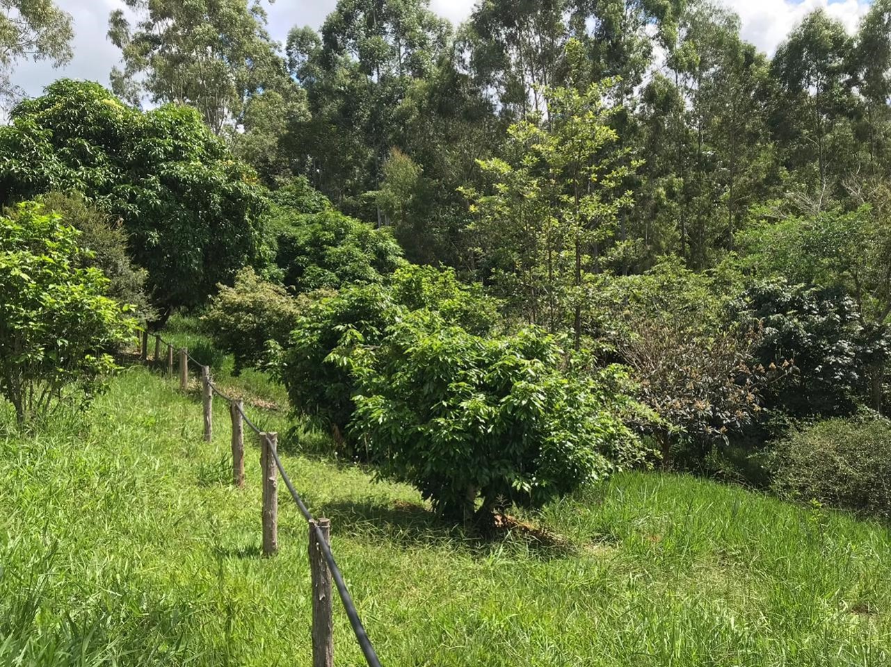 Sítio de 34 ha em Redenção da Serra, SP