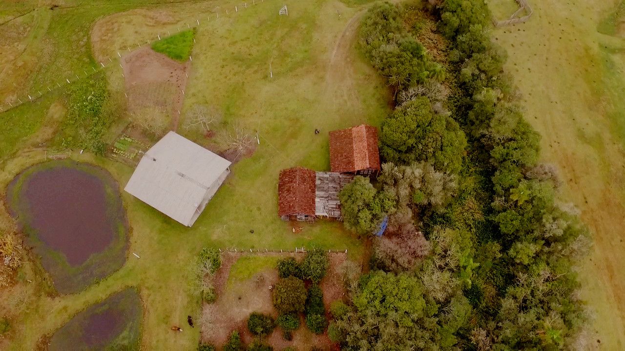 Sítio de 4 ha em Santo Antônio da Patrulha, RS