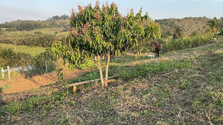 Chácara de 1.900 m² em Santo Antônio da Patrulha, RS