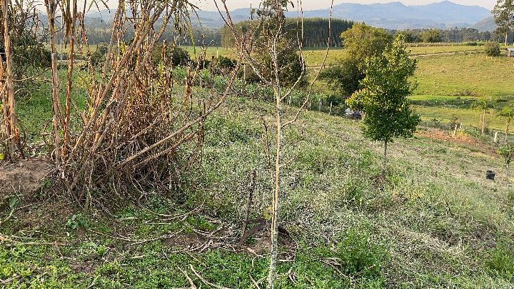 Chácara de 1.900 m² em Santo Antônio da Patrulha, RS