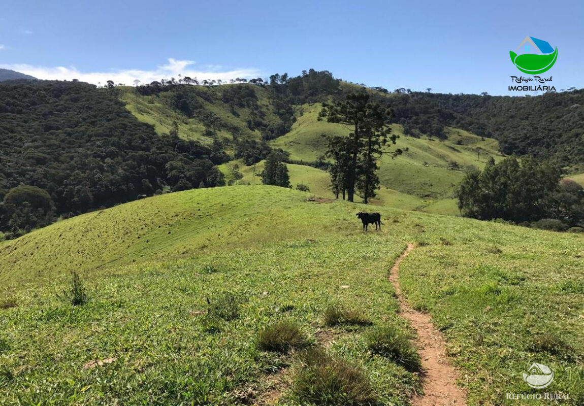 Sítio de 16 ha em Sapucaí-Mirim, MG