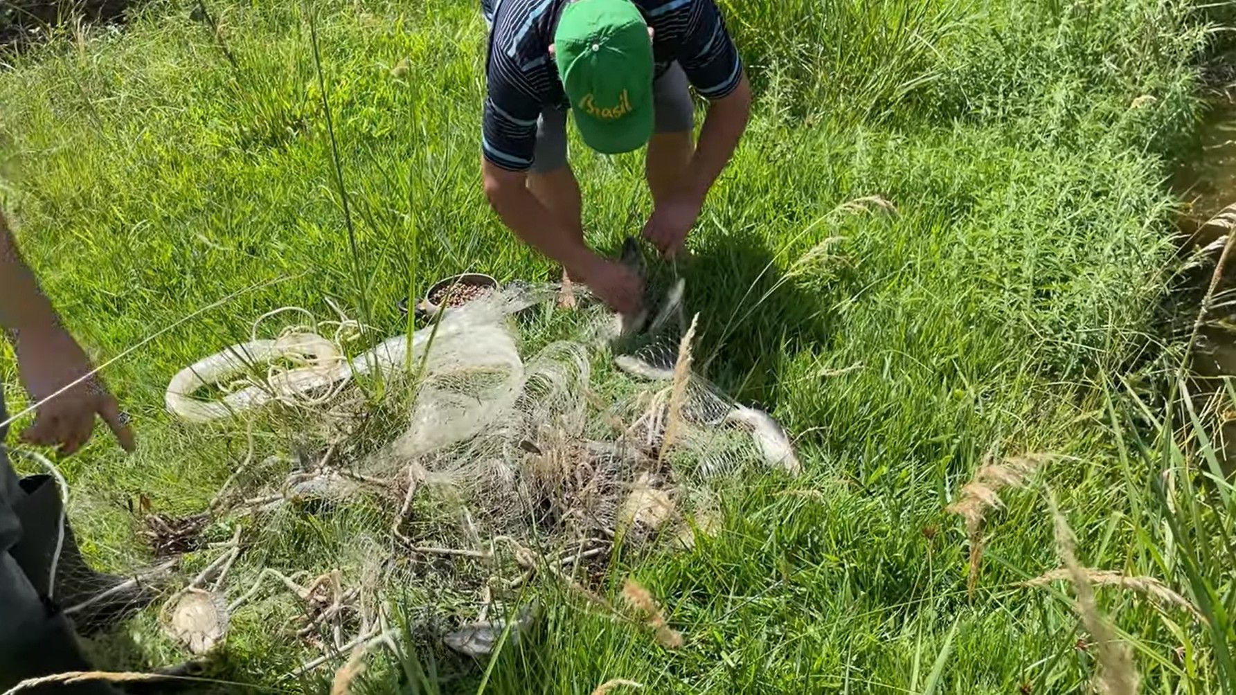 Chácara de 1.300 m² em Glorinha, RS