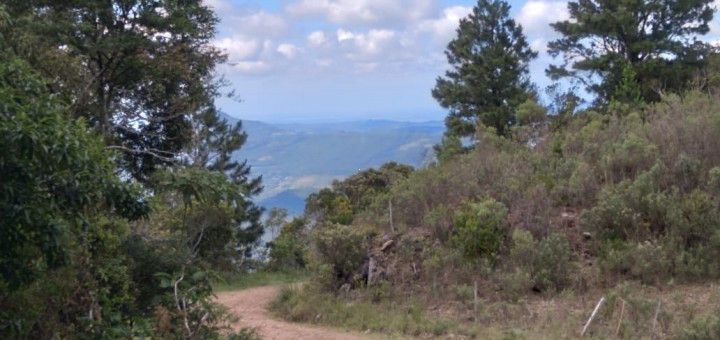 Chácara de 1 ha em Riozinho, RS