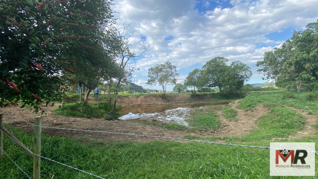 Fazenda de 121 ha em Cambuí, MG