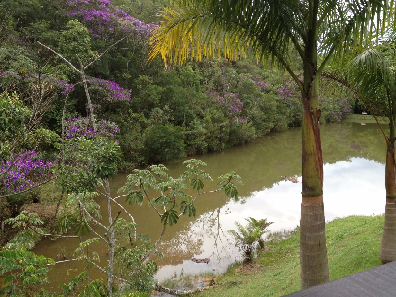 Chácara de 5 ha em Caçapava, SP