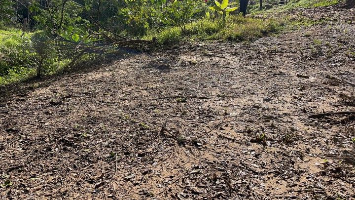 Chácara de 3.900 m² em Parobé, RS