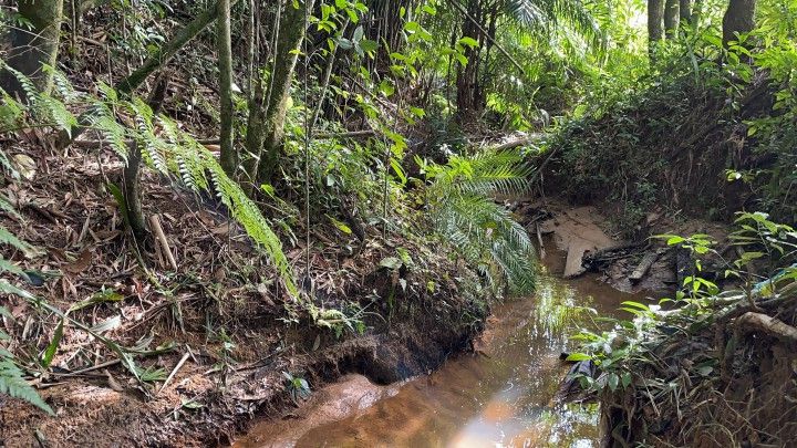 Chácara de 3.900 m² em Parobé, RS