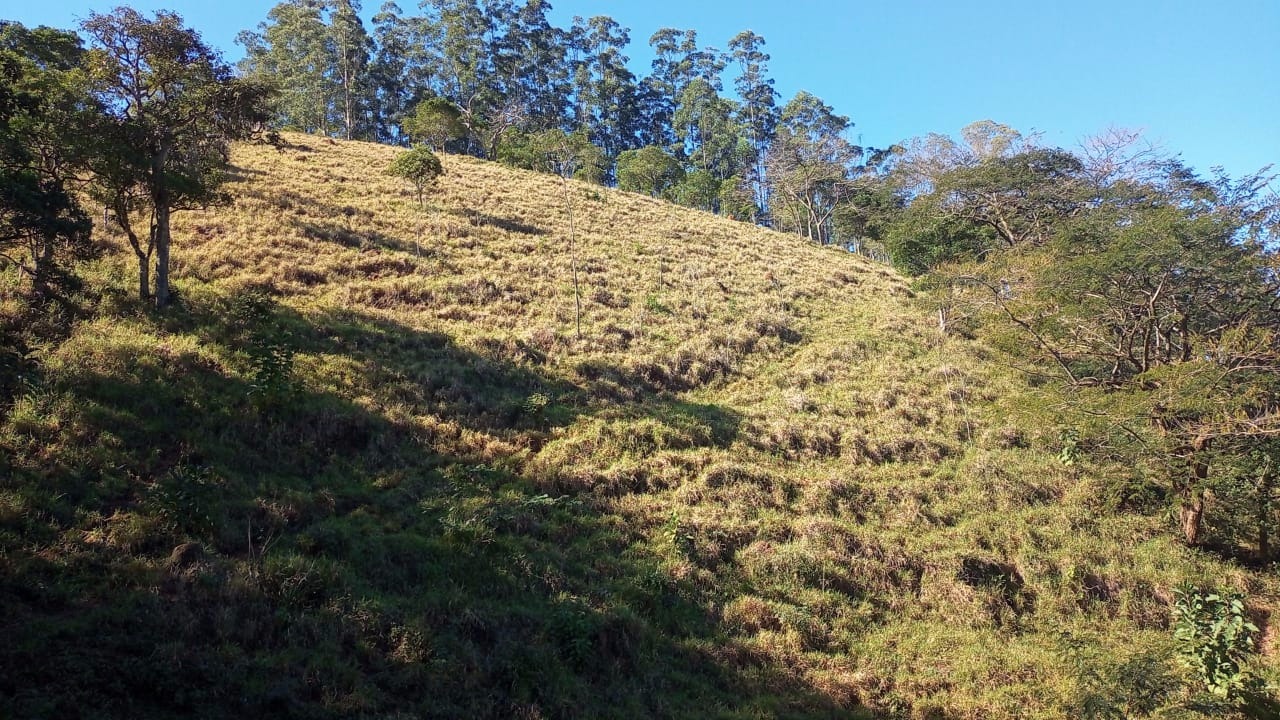 Chácara de 2 ha em Monteiro Lobato, SP