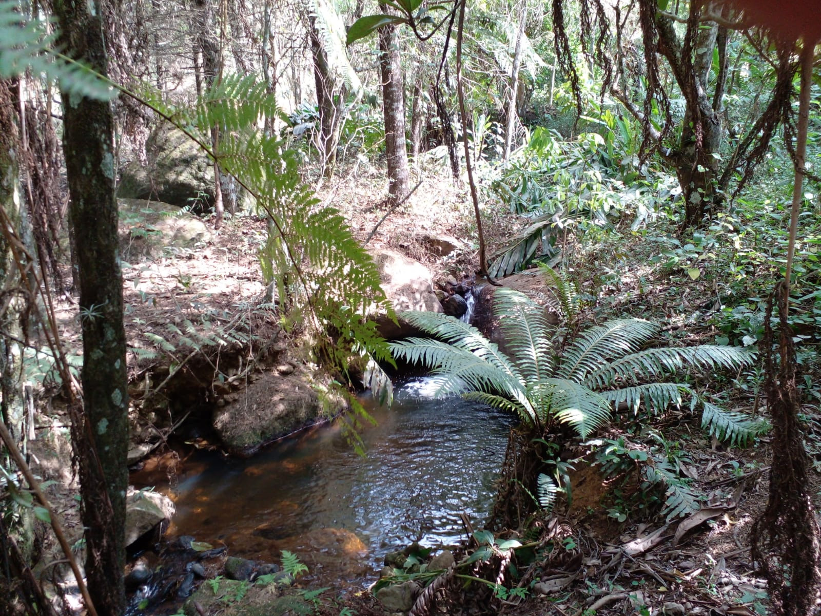 Sítio de 7 ha em Sapucaí-Mirim, MG