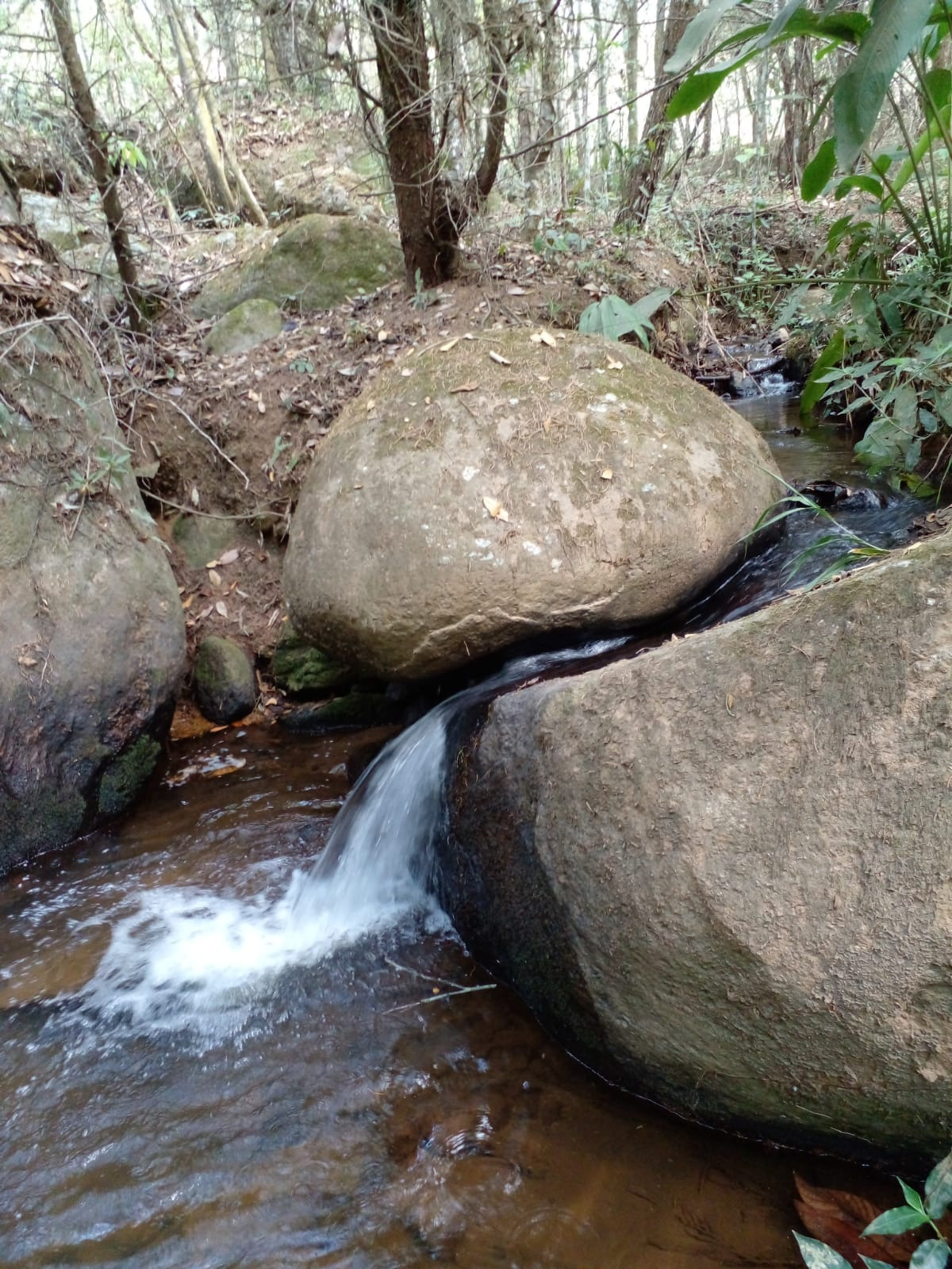 Sítio de 7 ha em Sapucaí-Mirim, MG