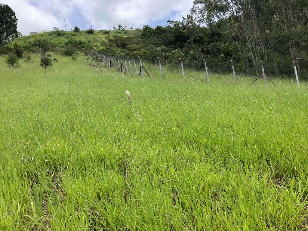 Terreno de 1.569 m² em Pouso Alegre, MG