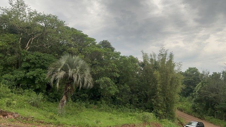 Chácara de 4 ha em Santo Antônio da Patrulha, RS