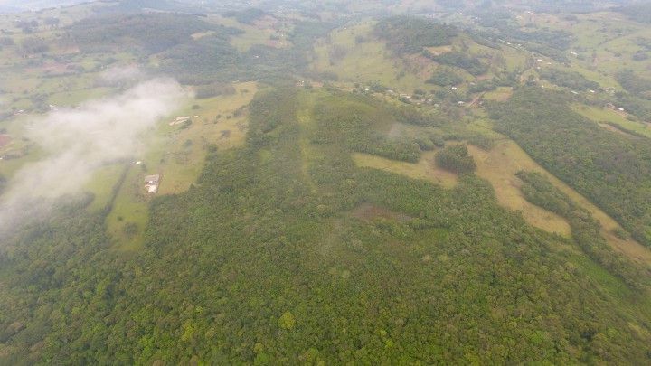 Chácara de 4 ha em Santo Antônio da Patrulha, RS