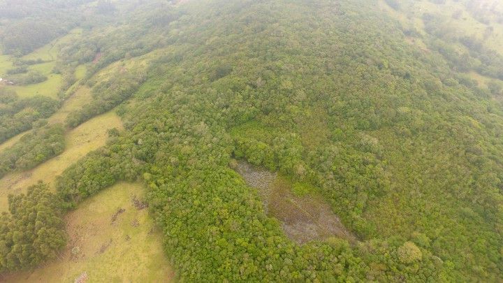 Chácara de 4 ha em Santo Antônio da Patrulha, RS