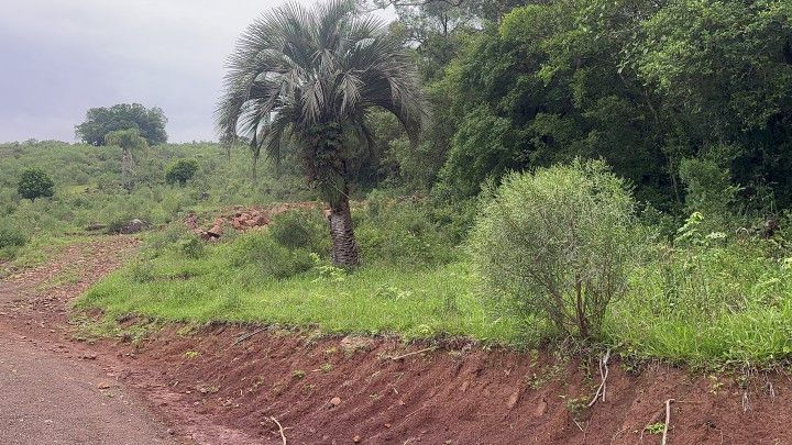 Chácara de 4 ha em Santo Antônio da Patrulha, RS