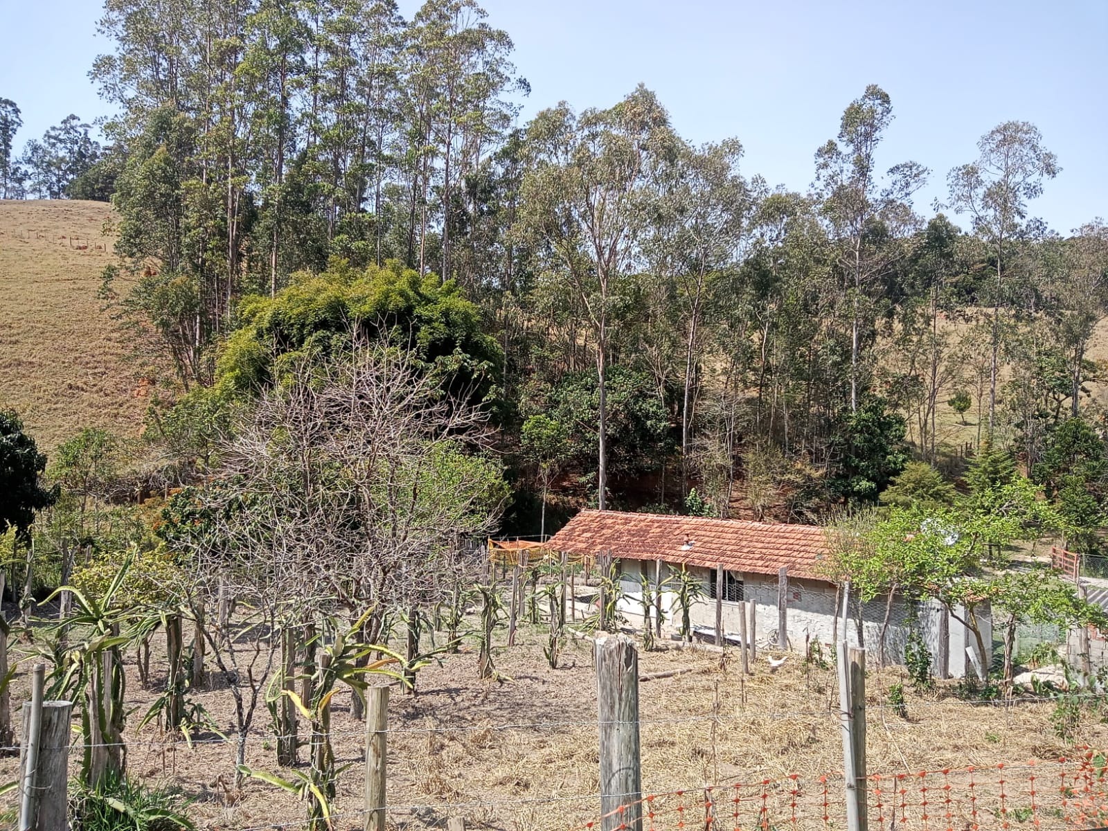 Sítio de 10 ha em Paraibuna, SP