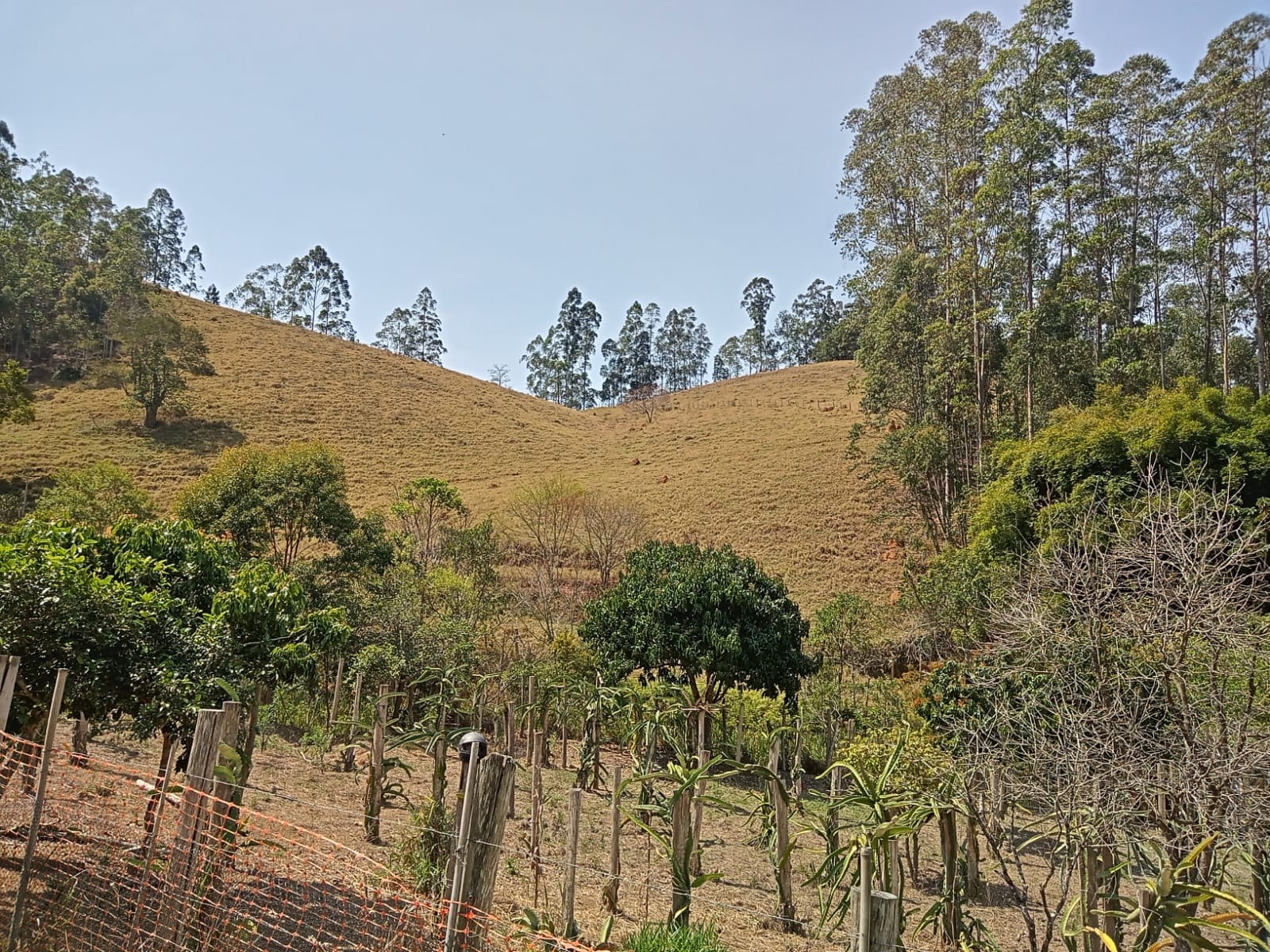 Sítio de 10 ha em Paraibuna, SP