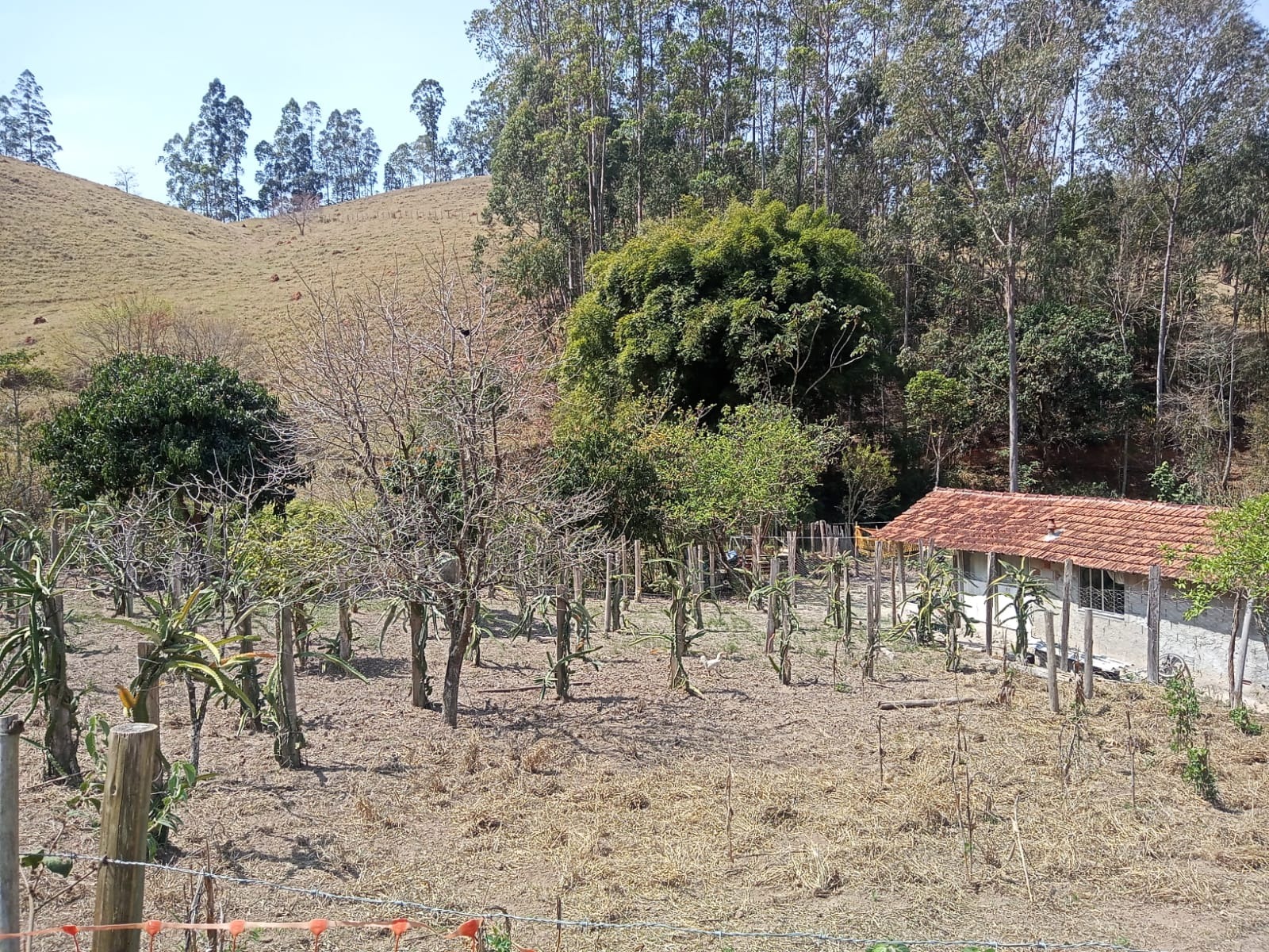 Sítio de 10 ha em Paraibuna, SP