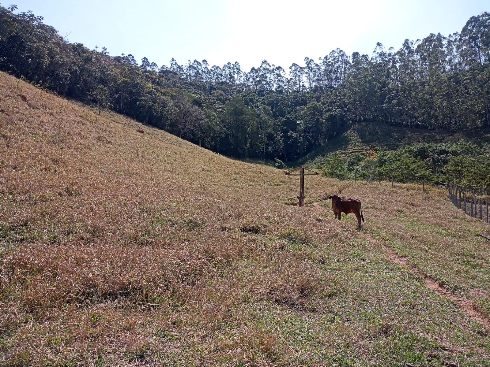 Sítio de 10 ha em Paraibuna, SP