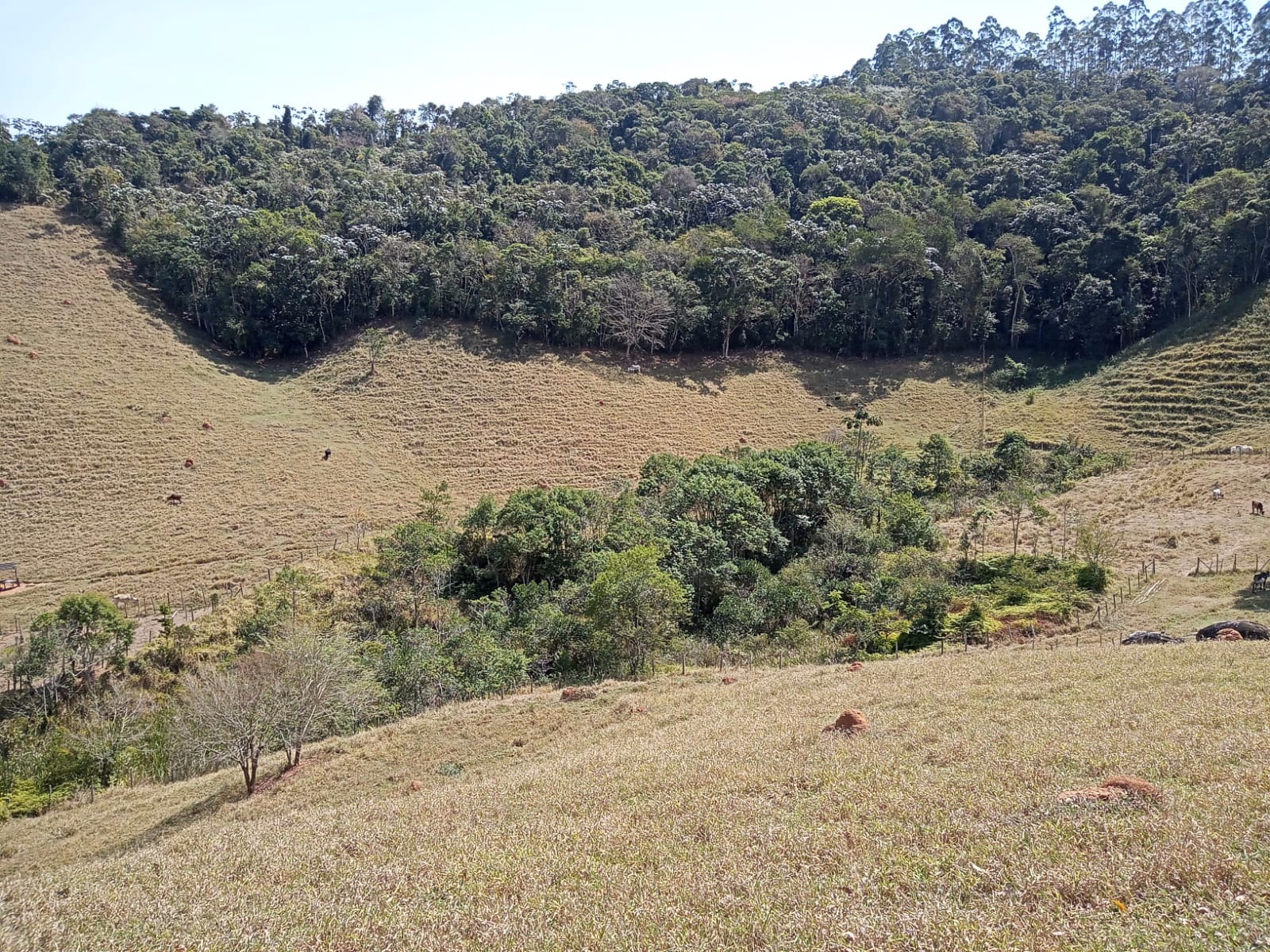 Sítio de 10 ha em Paraibuna, SP