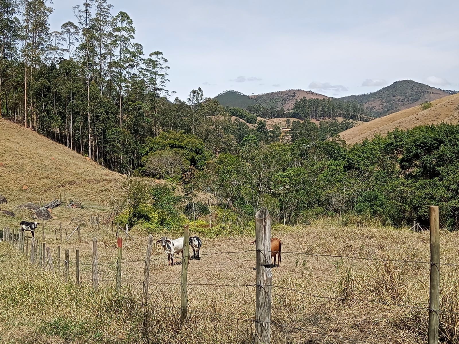 Sítio de 10 ha em Paraibuna, SP