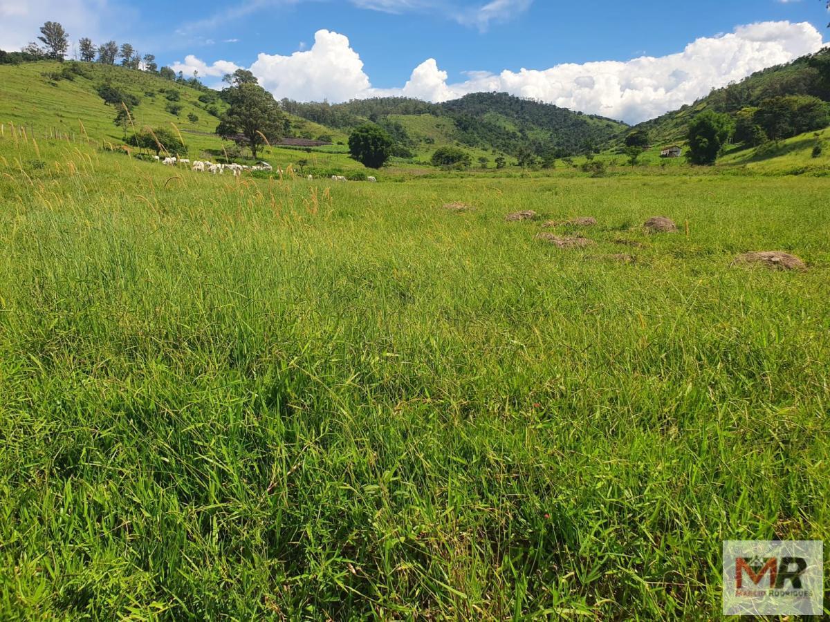 Fazenda de 233 ha em Itajubá, MG