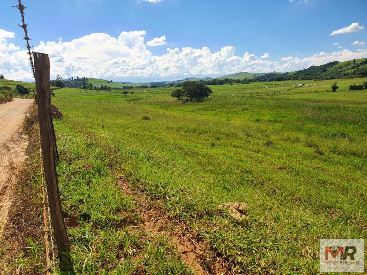 Fazenda de 233 ha em Itajubá, MG