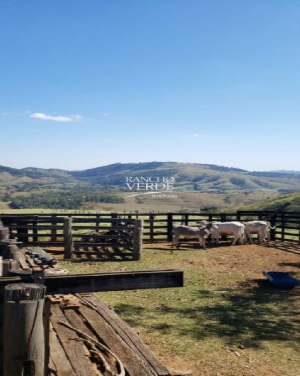 Fazenda de 80 ha em Santo Antônio do Amparo, MG