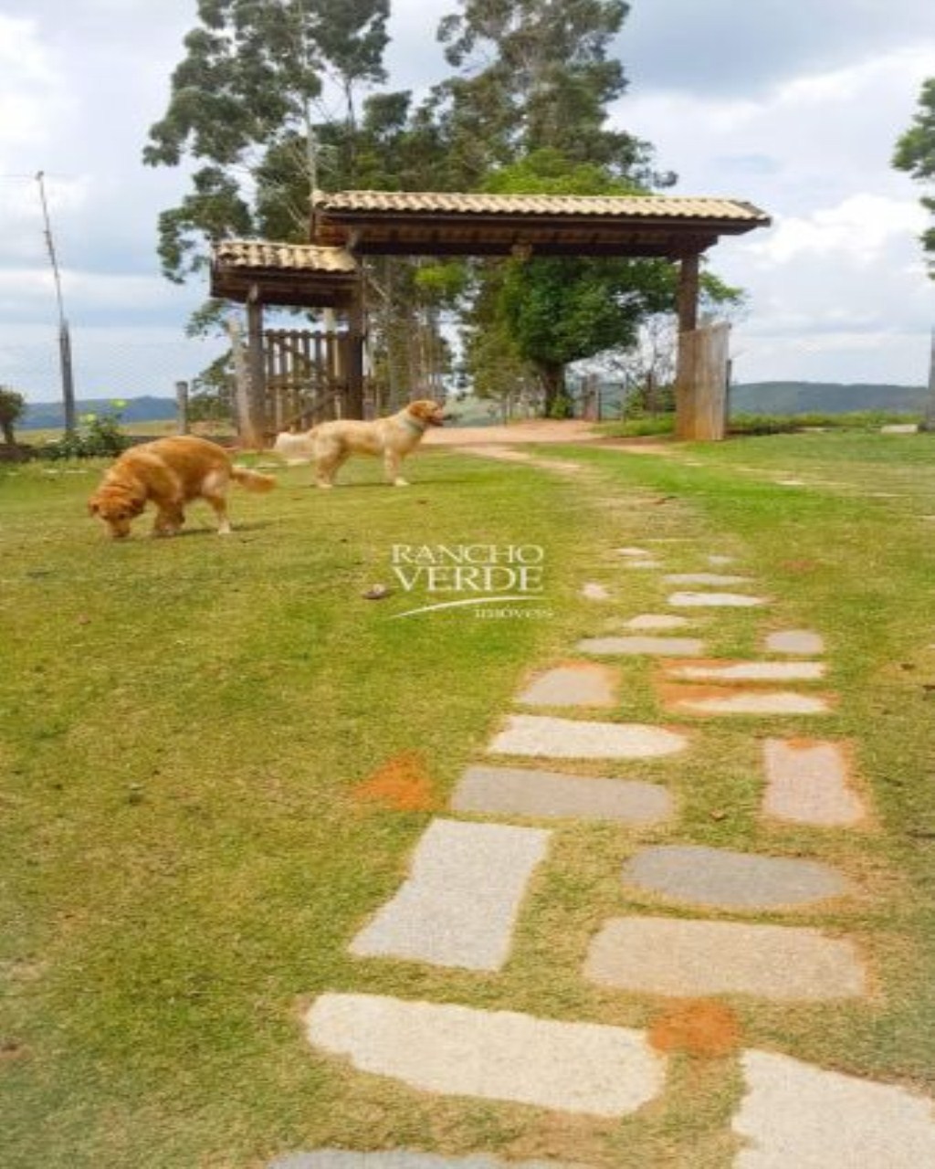 Fazenda de 80 ha em Santo Antônio do Amparo, MG