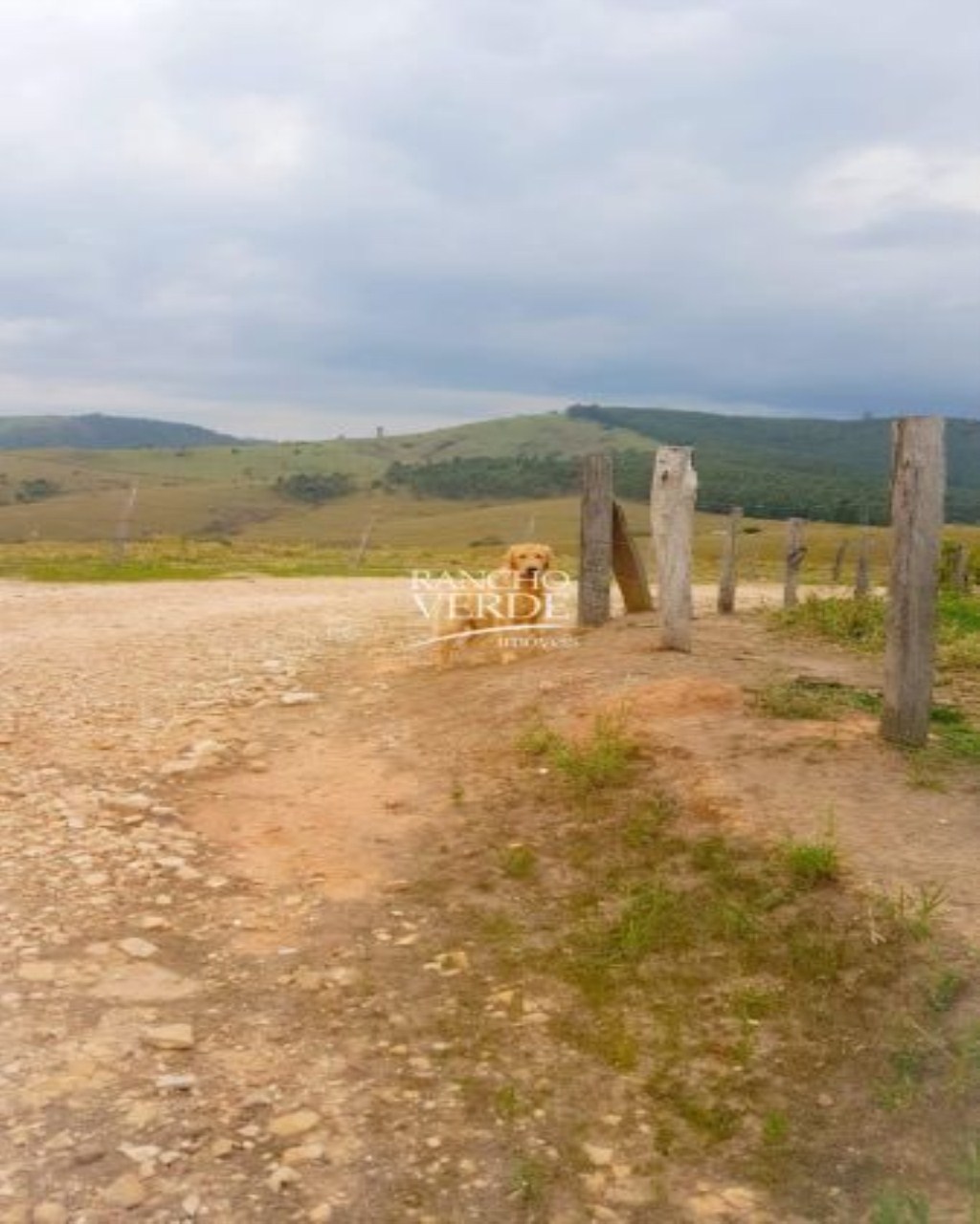 Fazenda de 80 ha em Santo Antônio do Amparo, MG