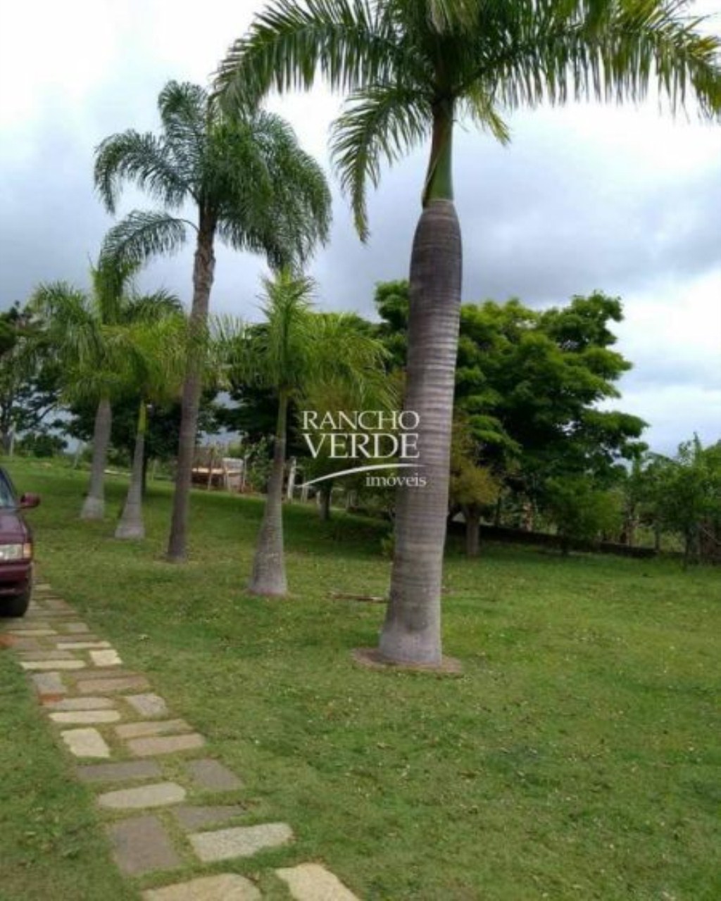 Fazenda de 80 ha em Santo Antônio do Amparo, MG