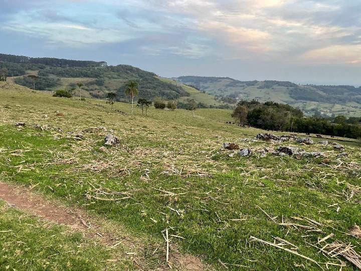 Chácara de 28 ha em Glorinha, RS