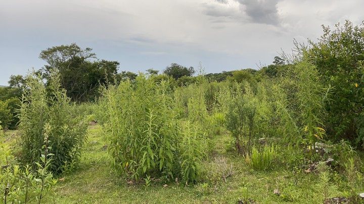 Terreno de 10 ha em Santo Antônio da Patrulha, RS