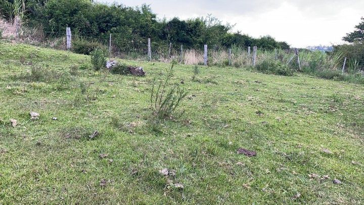 Terreno de 10 ha em Santo Antônio da Patrulha, RS