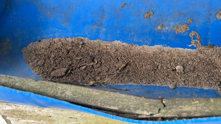 Terreno de 10 ha em Santo Antônio da Patrulha, RS